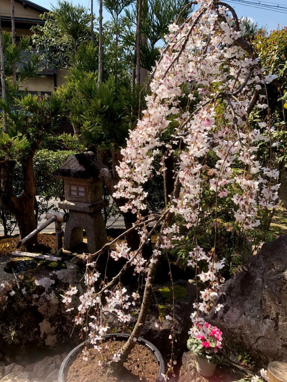 Hostel Kyoto Arashiyama Muko Eksteriør billede